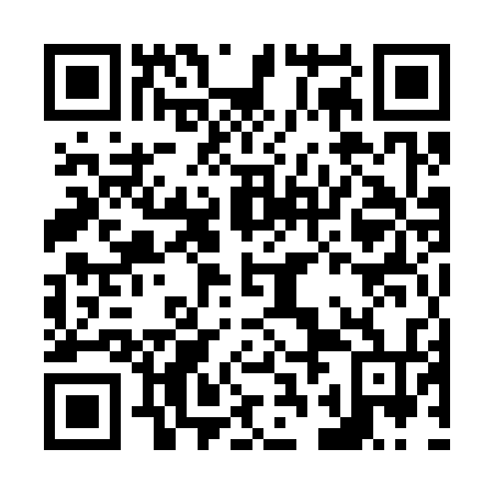 QR code for N2M334