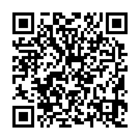 QR code for plate N2M 371