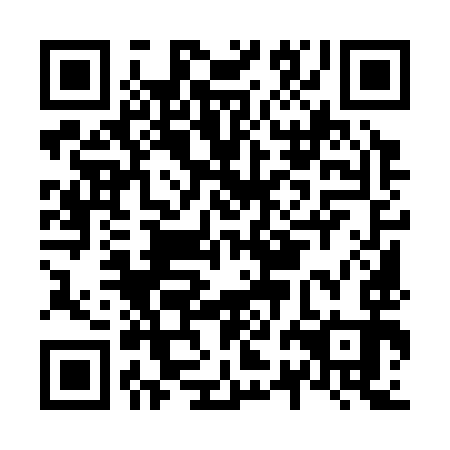 QR code for plate N2M 393