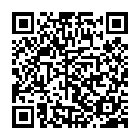QR code for plate N2M 475