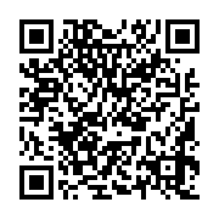 QR code for plate N2M 478