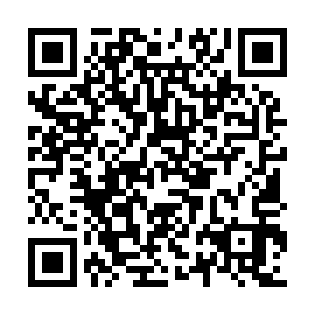 QR code for plate N2M 913