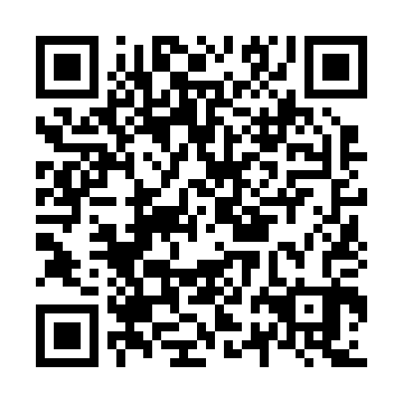 QR code for N2N 203