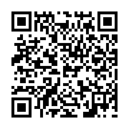 QR code for N2N 205