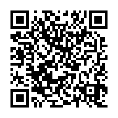 QR code for N2N 233