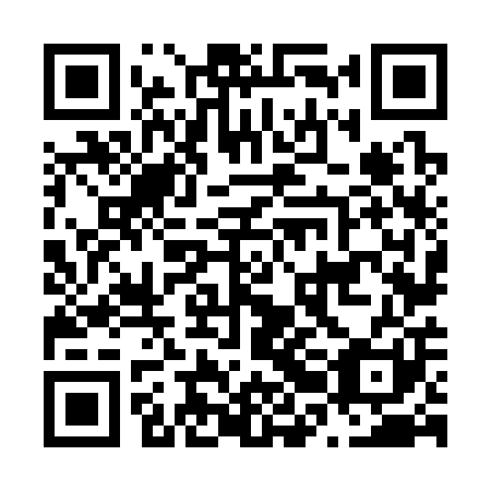 QR code for N2N 301