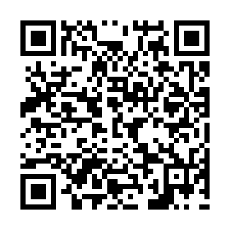 QR code for N2N 330