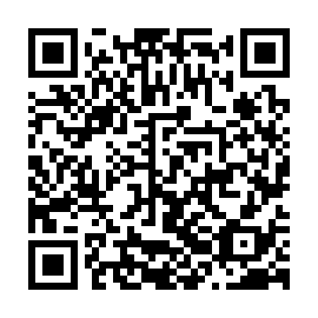 QR code for N2N 338