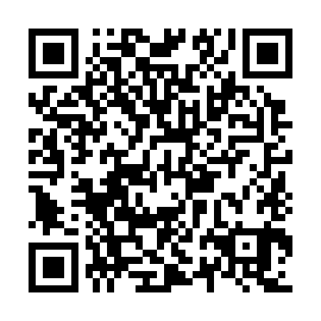 QR code for N2N 381