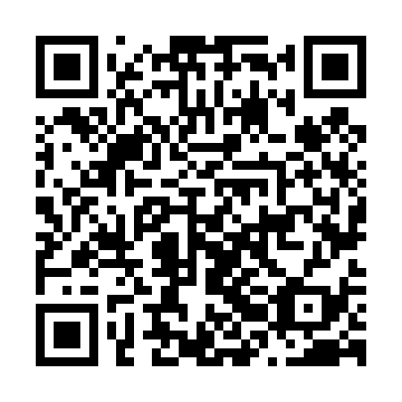 QR code for N2N 439
