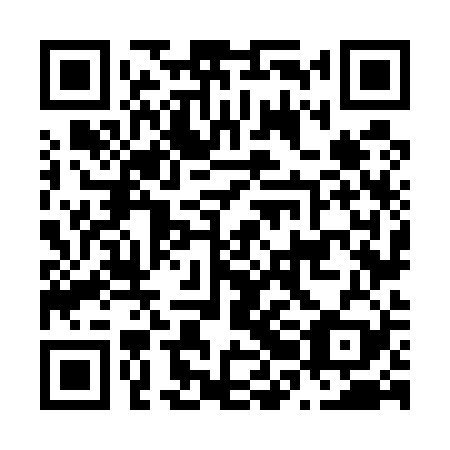 QR code for N2N 529