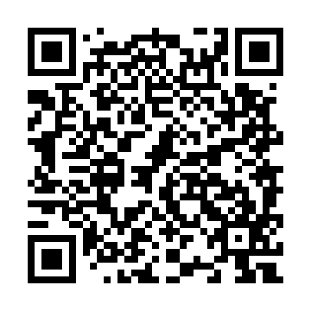 QR code for N2N 597