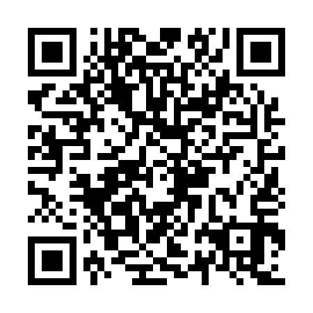 QR code for N2N113