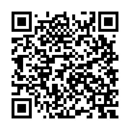 QR code for plate N2N 161