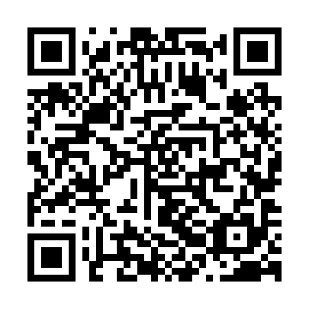 QR code for plate N2N 295