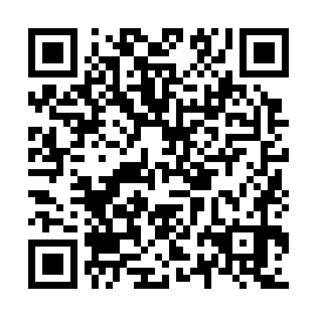 QR code for N2N370