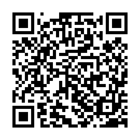 QR code for N2N453