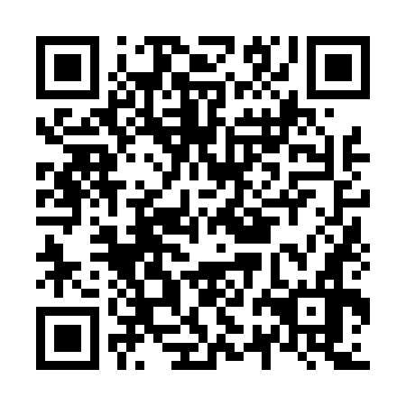 QR code for N2N476