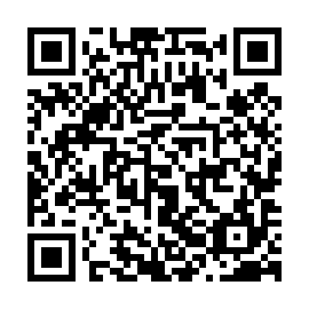 QR code for N2N494