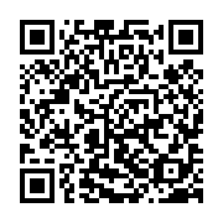 QR code for N2N498