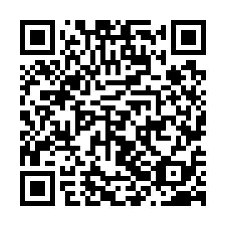 QR code for N2N719