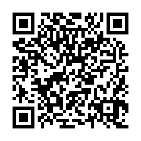 QR code for N2N967