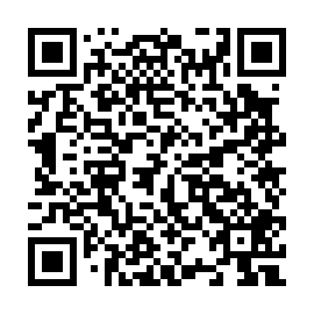 QR code for N2O 009
