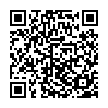 QR code for N2O 215