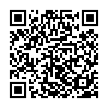 QR code for N2O 411
