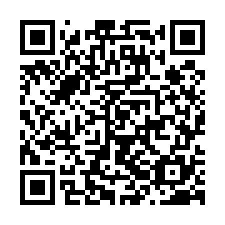 QR code for N2O 575