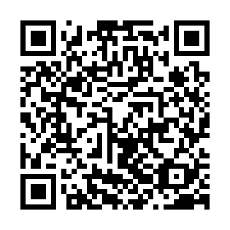QR code for N2O329