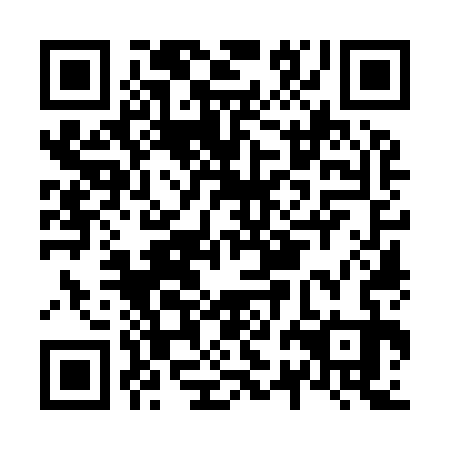 QR code for N2O933