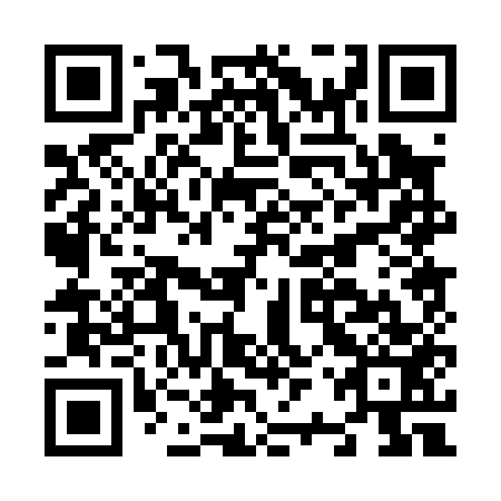 QR code for N2P 053
