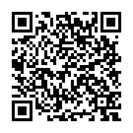 QR code for N2P 133