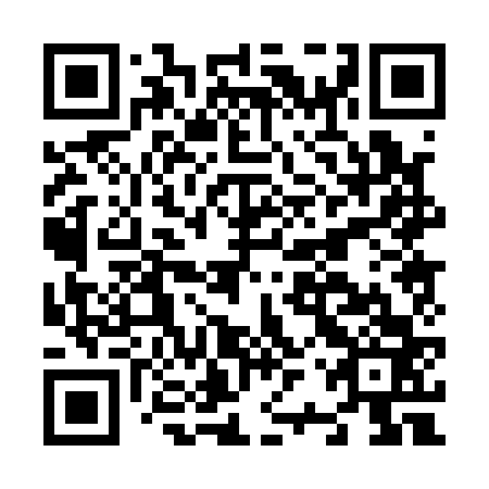 QR code for N2P 163