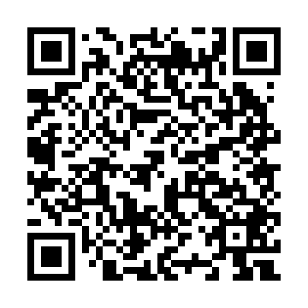 QR code for N2P 248