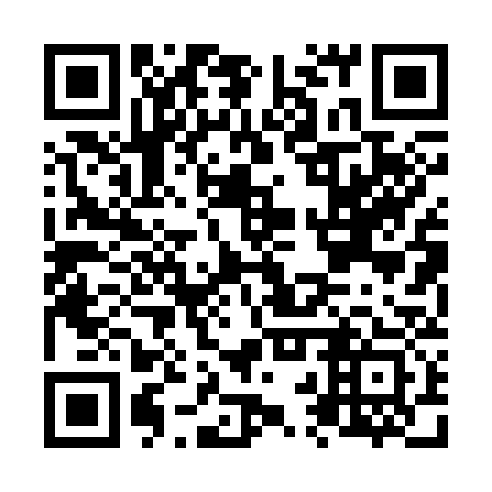 QR code for N2P 333