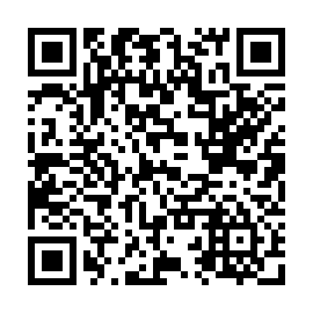 QR code for N2P 335