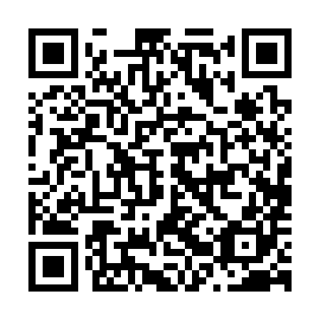 QR code for N2P 380