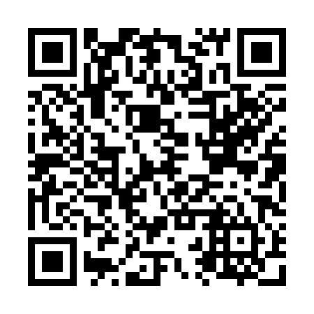 QR code for N2P 384