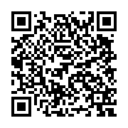 QR code for N2P 421