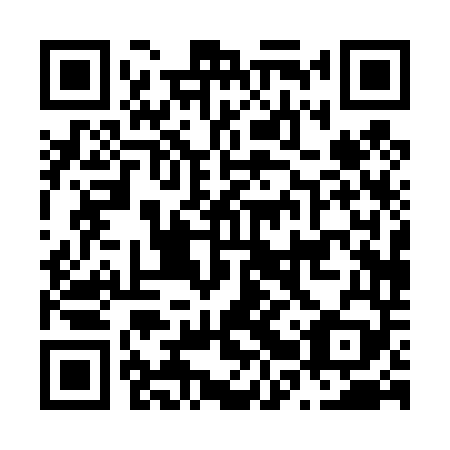 QR code for N2P 449