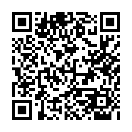 QR code for N2P 503
