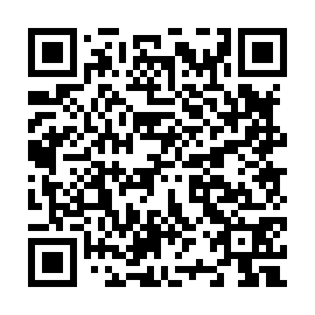 QR code for N2P 870