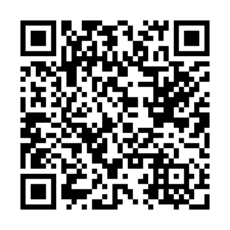QR code for N2P 950