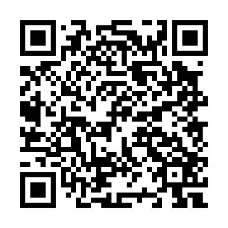 QR code for N2P006