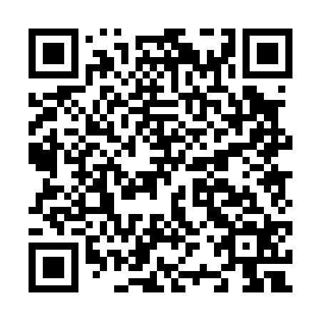 QR code for N2P024