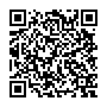 QR code for N2P032
