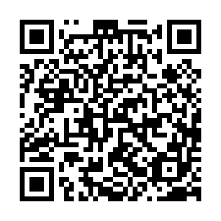 QR code for N2P052