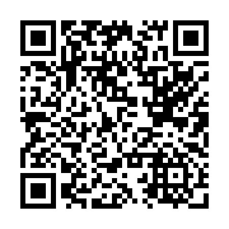 QR code for N2P097